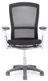 Life Fully Adjustable chair (Renewed) | Black